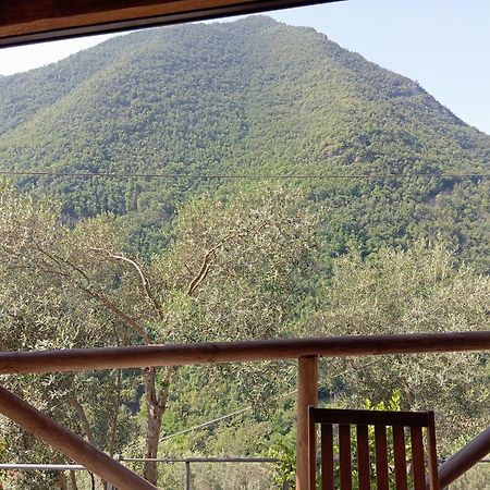 Agriturismo U' Spigu Nonna Annetta Nasino 外观 照片