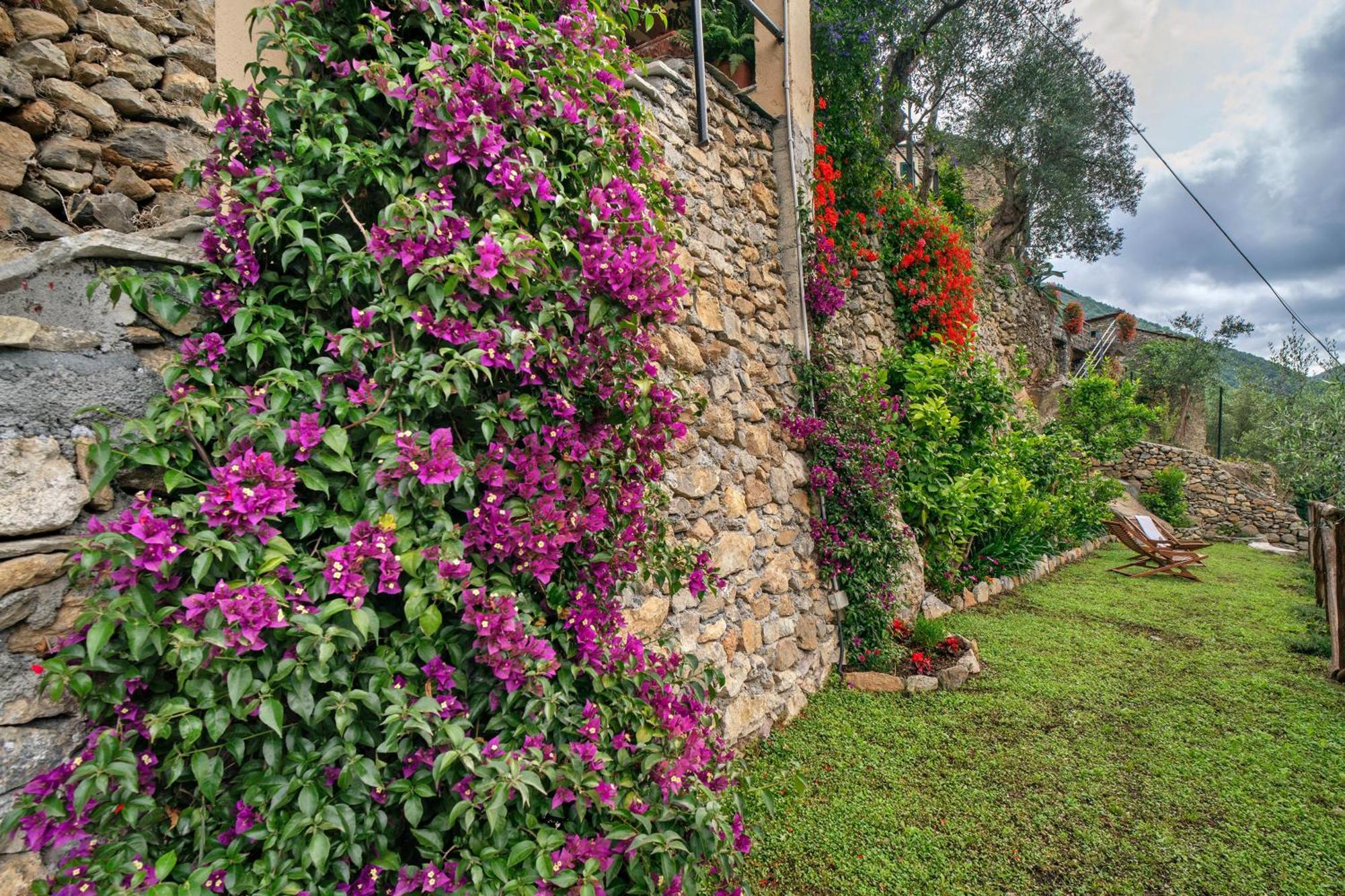 NasinoAgriturismo U' Spigu Nonna Annetta别墅 外观 照片